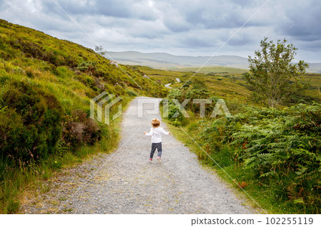 Cute little happy toddler girl running on nature path in Connemara national park in Ireland. Smiling and laughing baby child having fun spending family vacations in nature. Traveling with small kids 102255119