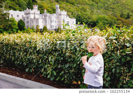 Cute toddler girl with Irish cloverleaf lollipop with Kylemore Abbey on background. Happy healthy child on flower meadow eating unhealthy sweets. Family and small children vacations in Ireland Cute toddler girl with Irish cloverleaf lollipop with Kylemore Abbey on background. Happy healthy child on flower meadow eating unhealthy sweets. Family and small children vacations in Ireland 102255134