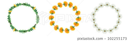 Watercolor set of wreaths with fluffy and yellow dandelion flowers. Hand painting clipart botanical meadow illustration on a white isolated background. For designers, decoration, postcards, wrapping Watercolor set of wreaths with fluffy and yellow dandelion flowers. Hand painting clipart botanical meadow illustration on a white isolated background. For designers, decoration, postcards, wrapping 102255173