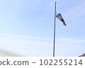 Windsock 102255214