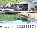 Oura fishing port in Naruto 102255574