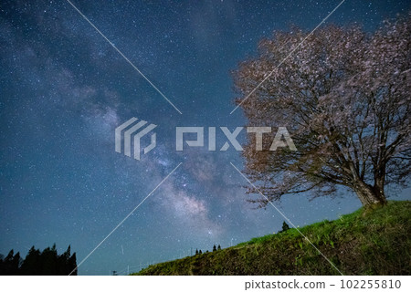 Milky Way and cherry blossoms Nagano Prefecture Milky Way and cherry blossoms Nagano Prefecture 102255810