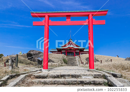 鳥居和箱根神社元宮 102255833