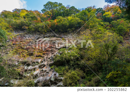 高千穂峽在紅葉中熠熠生輝（從步道眺望）宮崎縣高千穂町 102255862