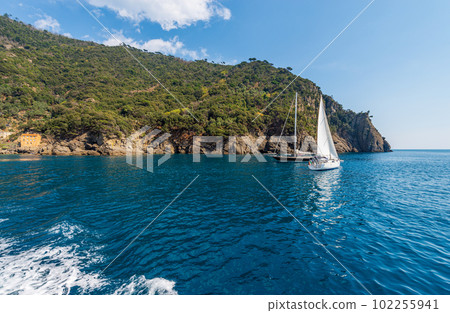 Sailing Boats in Front of the Coast of Liguria - San Fruttuoso Italy 102255941