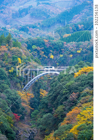 Takachiho-cho, Miyazaki Prefecture 102256138