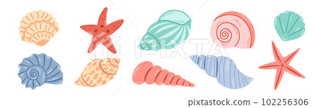 Set of colored sea shells, molluscs, sea snails, starfish. Modern flat illustration of seashells isolated on white background. Set of colored sea shells, molluscs, sea snails, starfish. Modern flat illustration of seashells isolated on white background. 102256306