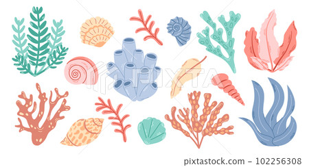 Big set elements of underwater plants and mollusks. Simple bright illustrations of seashells, algae and corals. Big set elements of underwater plants and mollusks. Simple bright illustrations of seashells, algae and corals. 102256308