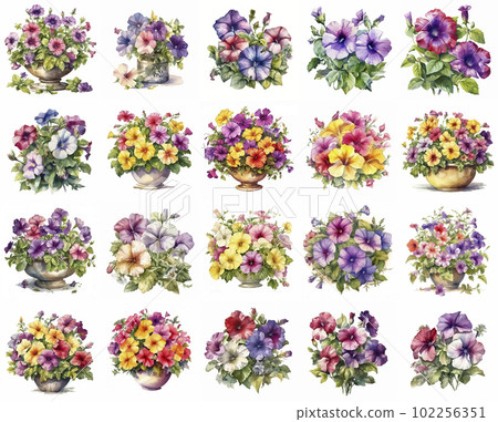 Petunia watercolor illustration set "AI generated image" Petunia watercolor illustration set "AI generated image" 102256351