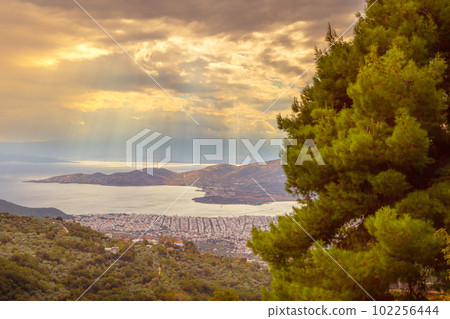 Volos city view from Pelion mount, Greece 102256444