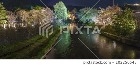 230412 中橋夜櫻 z052-60 102256545