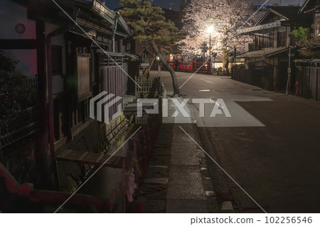 230412 中橋附近夜櫻花 z023 230412 中橋附近夜櫻花 z023 102256546