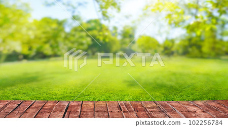 green grass blurred background with sun rays in park meadow and wooden floor green grass blurred background with sun rays in park meadow and wooden floor 102256784