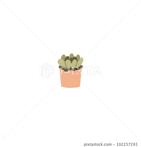 Potted plant. Houseplants in flower pot. Vector bundle of trendy plants Potted plant. Houseplants in flower pot. Vector bundle of trendy plants 102257291