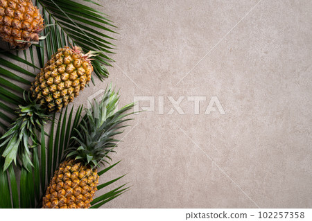Bromeliad tropical leaves penglai banana background turtle leaf pineapple background パ イ ナ ッ プ ル 102257358
