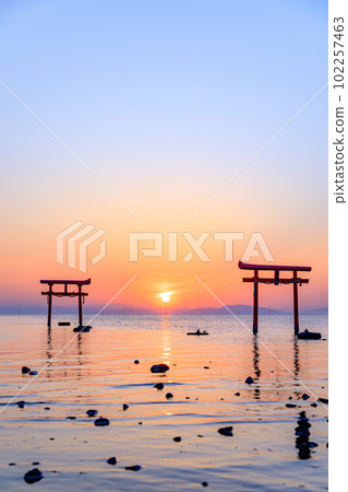 The underwater torii gate and sunrise at Ooyo Shrine at high tide, Tara Town, Saga Prefecture 102257463