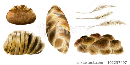 Watercolor various bread types illustration set. Home made cutted sliced bread, Jewish challah, wheat ears bundle 102257497