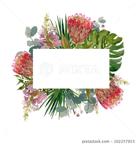Frame flower protea palm a watercolor horizontal  102257853