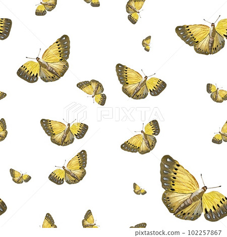 Butterfly yellow seamless pattern a watercolor pic Butterfly yellow seamless pattern a watercolor pic 102257867