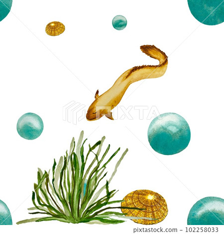 Seaweed eel bubbles shell a watercolor sketch Seaweed eel bubbles shell a watercolor sketch 102258033