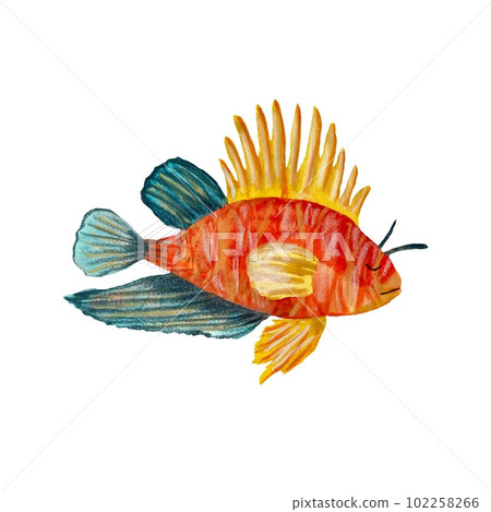 Fish colorful ocean sea a watercolor illustration Fish colorful ocean sea a watercolor illustration 102258266
