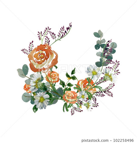 Flower rose daisy branch design a watercolor  102258496