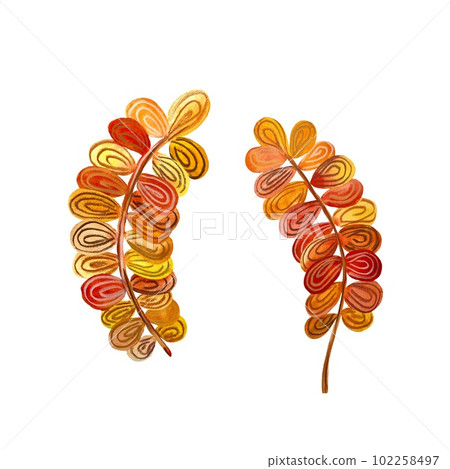 Flower branch red orange set watercolor textured Flower branch red orange set watercolor textured 102258497