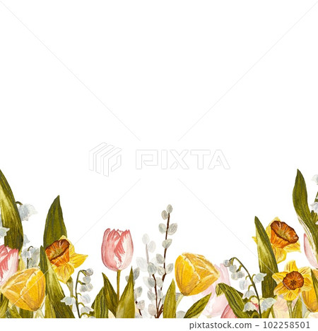 Border snowdrop tulip flower daffodil a watercolor Border snowdrop tulip flower daffodil a watercolor 102258501