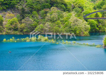 Oku Shimango湖的被淹沒的森林 Oku Shimango湖的被淹沒的森林 102258696