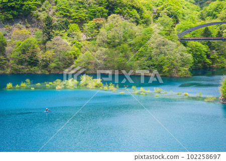 Oku Shimango湖的被淹沒的森林 Oku Shimango湖的被淹沒的森林 102258697