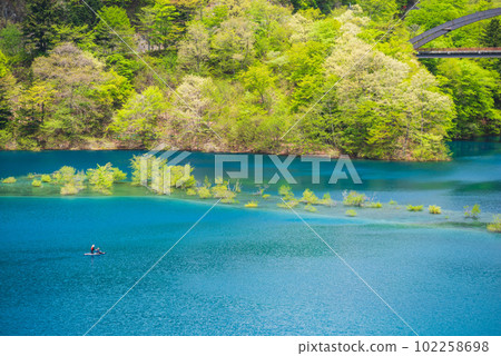 Oku Shimango湖的被淹沒的森林 Oku Shimango湖的被淹沒的森林 102258698