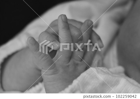 寶寶舉手(單色) 寶寶舉手(單色) 102259042