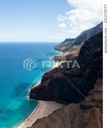 aerial view, beach, sea 102259557