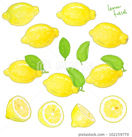 A simple touch of a real lemon illustration A simple touch of a real lemon illustration 102259770