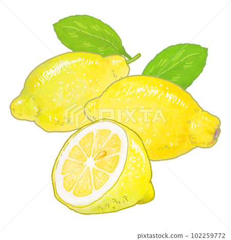 A simple touch of a real lemon illustration 102259772