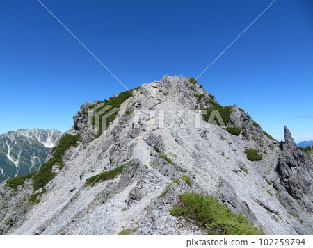 Traversing the Northern Alps in midsummer (Mt. Zubari and Mt. Tsurugi visible from the ridgeline toward Mt. Harinoki) Traversing the Northern Alps in midsummer (Mt. Zubari and Mt. Tsurugi visible from the ridgeline toward Mt. Harinoki) 102259794