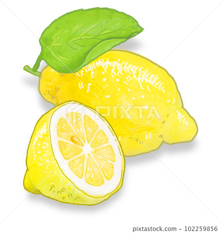 A simple touch of a real lemon illustration 102259856