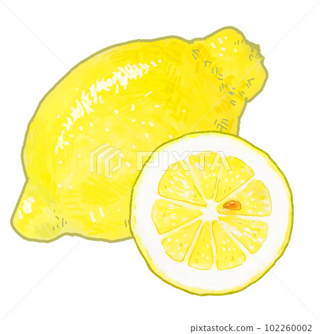真正的檸檬插圖的簡單觸摸 102260002