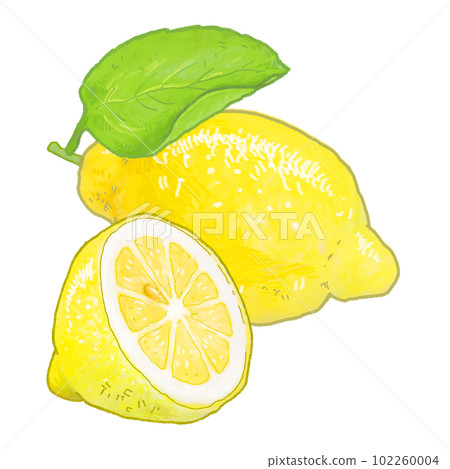 A simple touch of a real lemon illustration 102260004
