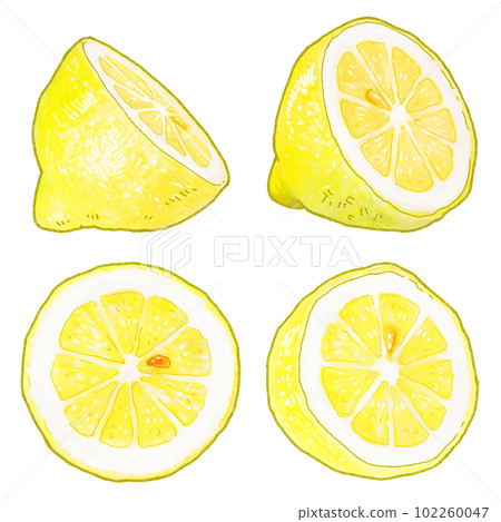 A simple touch of a real lemon illustration A simple touch of a real lemon illustration 102260047