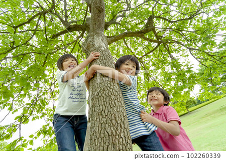 孩子們在新鮮的綠色公園玩 102260339