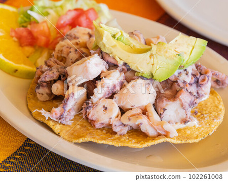 Close up shot of Octopus taco with avocado 102261008