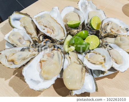 Close up shot of many fresh raw oyster Close up shot of many fresh raw oyster 102261010