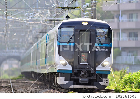 東海道幹線真鶴JR東日本E257系列2500系列NC-31編隊(大宮)舞子 102261505