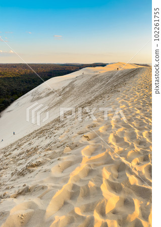 Dune du Pilat, the biggest sand dune in Europe, France. 102261755
