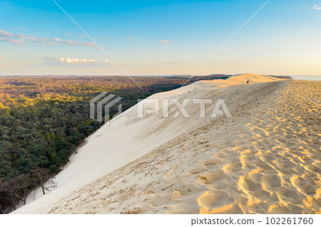 Dune du Pilat, the biggest sand dune in Europe, France. Dune du Pilat, the biggest sand dune in Europe, France. 102261760