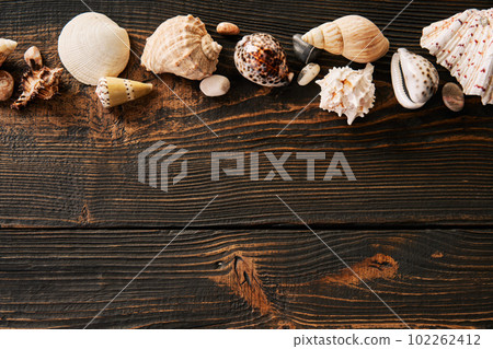 Beautiful seashells on the dark wooden background with copy space. Flat lay, top view. 102262412
