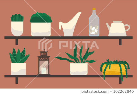 Home plants and decorative flowers in pots, standing on the shelves. Flowerpots and watering cans 102262840