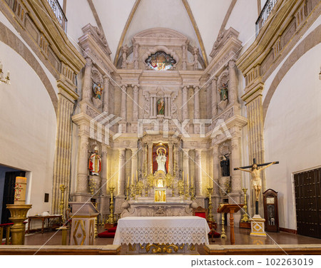 Interior view of the Templo de San Agustin 102263019