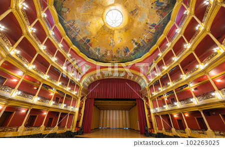 Interior view of the Degollado Theater Interior view of the Degollado Theater 102263025